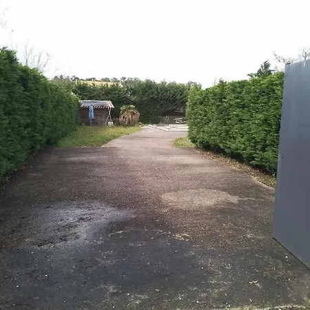 Pins Et Pilat * La Teste-de-Buch