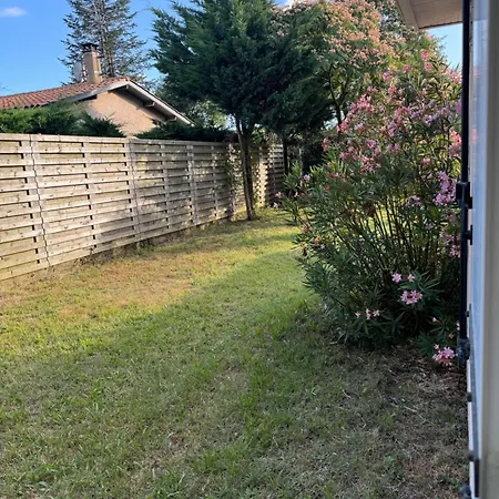 Pins Et Pilat * La Teste-de-Buch